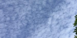 うろこ雲の写真