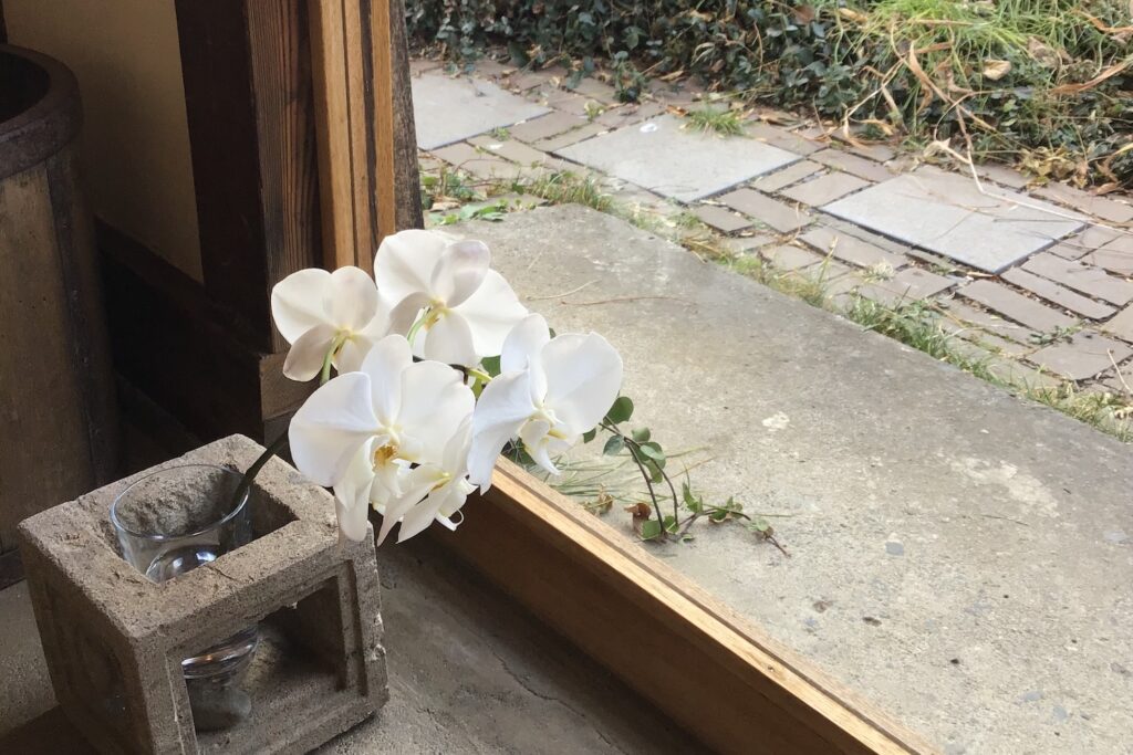 コチョウラン20210130のコピー